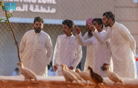 منطقة سفاري بمعرض الصقور والصيد السعودي - الصورة من وكالة الأنباء السعودية "واس"