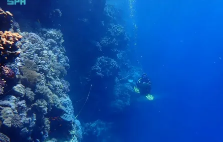 لدراسة تمثل نقلة نوعية في القدرة على مراقبة وحماية البحر الأحمر