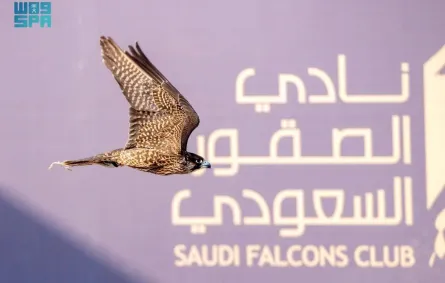 المنطقة الشرقية تستضيف كأس نادي الصقور السعودي 2025