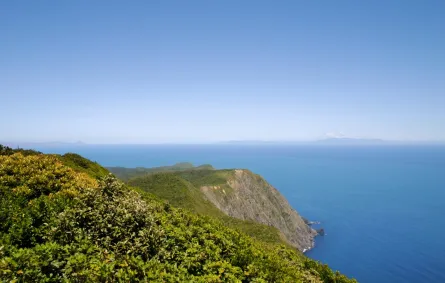 جزيرة كابيتي هي أقدم محمية طبيعية في نيوزيلندا