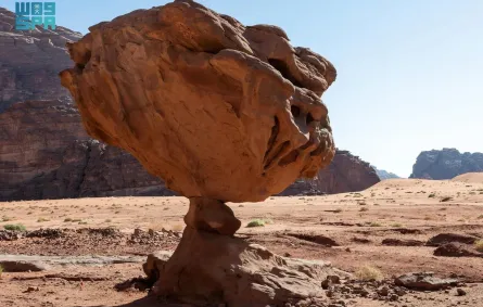 الموائد الصخرية