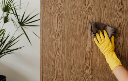 تنظيف المنزل