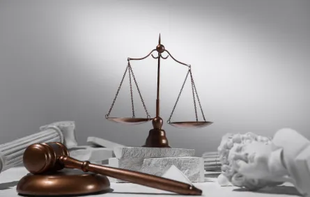 دليل المحامي الشامل