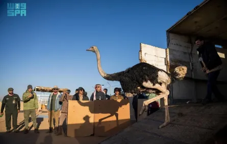 كائنات فطرية