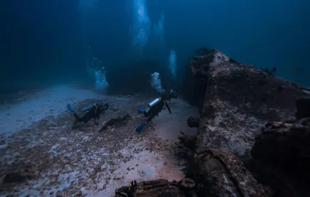 اكتشاف جدار حجري عمره 7 آلاف عام بفرنسا - الصورة تعبيرية من pexels by harvey clements