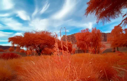 انطلاق معرض أرضُنا فبراير المقبل - الصورة من الموقع الرسمي لاستكشف العلا
