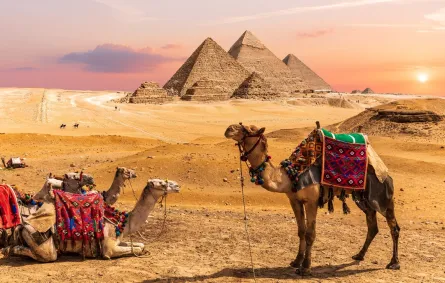 مصر تضم بعض أثمن الآثار في العالم 