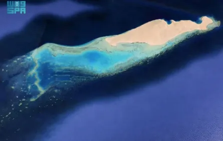 جزيرة النعمان