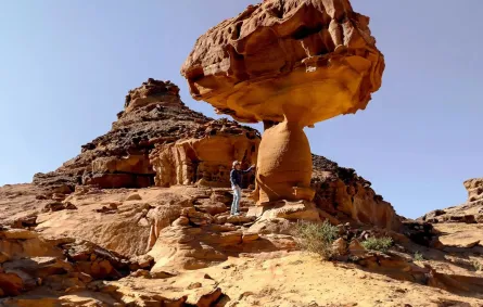 وادي الفن إبداعات فنية تتربّع في قلب العُلا. الصورة من الموقع الرسمي لاستكشف العلا