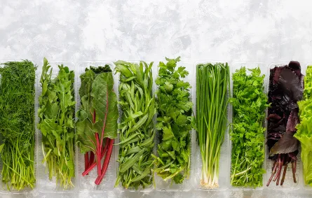 تعزّز الخضار الورقية الجسم وتساعد على الوقاية من بعض الأمراض- المصدر Image by KamranAydinov on Freepik