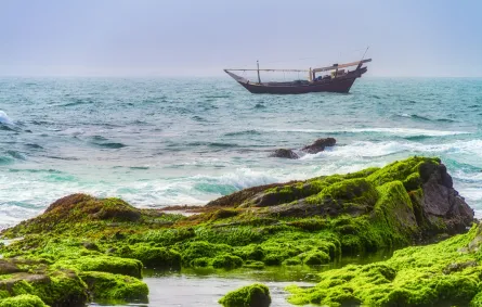 صلالة تجمع بين جمال الطبيعة وثراء الثقافة والتاريخ