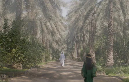 بين هامات النخيل وأشعة الشمس تتجسد مقولة "غرس الأجداد.. فحصد الأحفاد"