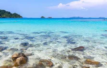 حلم البحر الهائج والبحر الهادئ - مصدر الصورة: Freepik by jcomp