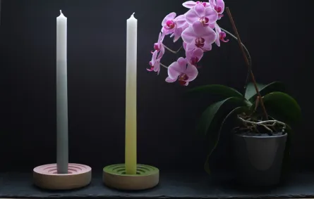 نبات الأوركيد مع زوجين من حوامل الشموع