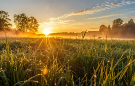 تفسير حُلم شروق الشمس في المنام