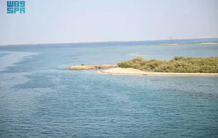 جزيرة فرسان