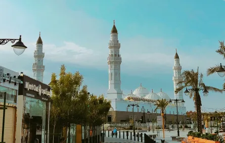 المدينة المنورة.