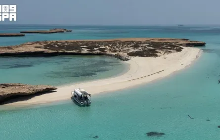 جزيرة أبو شوراية