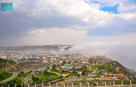 الباحة