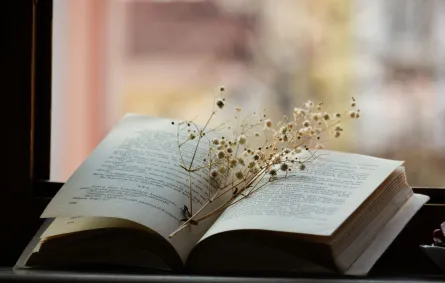 كتاب مفتوح  به بعض الزهور الصغيرة 