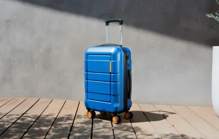 ماذا لا تضع في الأمتعة المسجّلة؟
