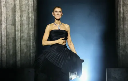حفل سيلين ديون Celine Dion في باريس. مصدر الصورة:  THOMAS SAMSON / AFP