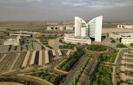 جانعة نجران