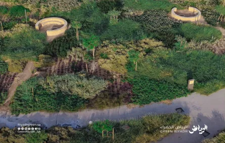 الرياض الخضراء