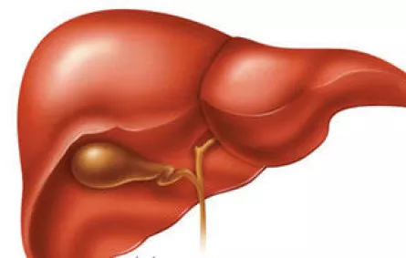 منظَّمة الصحَّة العالميَّة تطلق حملة ضد الكبد الوبائيّ