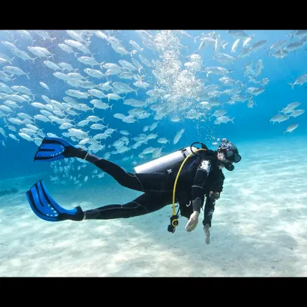 بالفيديو.. غواص سعودي يؤدي صلاة العصر تحت الماء