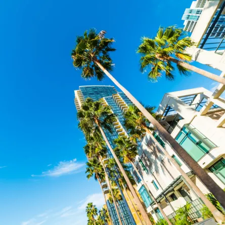 سياحة ممتعة في "سان دييغو"