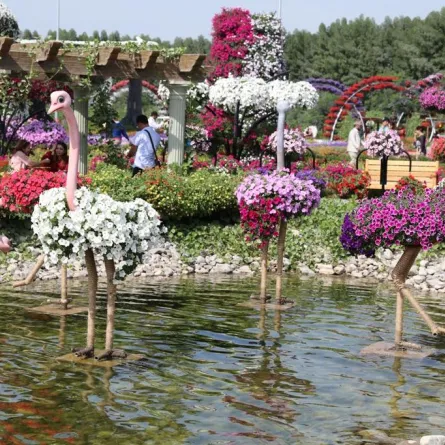 حديقة ميراكل دبي للزهور.. ربيعٌ لا ينتهي