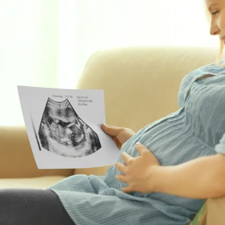 فيديو مدهش.. في 4 دقائق يظهر نموّ الجنين 9 أشهر في بطن أمه