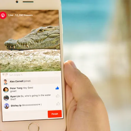 تمساح ضخم يهاجم زوجين أثناء بث حي على "فيس بوك"