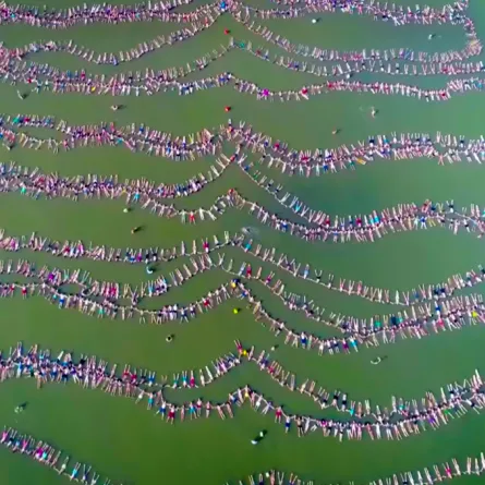 الأرجنتين تدخل "غينيس" بـ "أطول سلسلة بشرية تطفو"