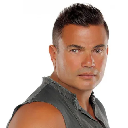 هل تزوج عمرو دياب من الفنانة دينا الشربيني منذ أسبوع؟