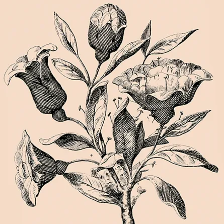 هذا اللغز «دوّخ» العالم على مدى 100 عام.. هل يمكنك حلّه؟