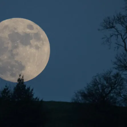 العالم العربي على موعدٍ مع "القمر الثلجي" السبت