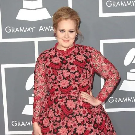 أديل الأعلى دخلاً بين المرشحين لجوائز غرامي