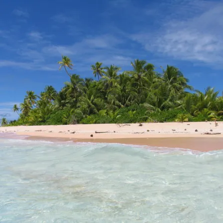 العثور على قارة غارقة في المحيط الهادي!