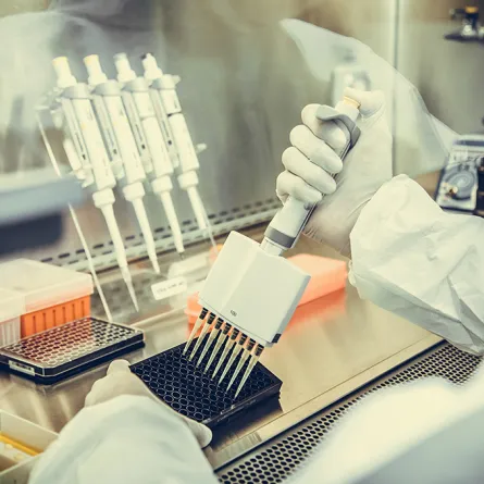 بكتيريا السالمونيلا قادرة على تدمير السرطان!