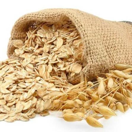 الشوفان للوقاية من السرطان وعلاج السكري وضغط الدم