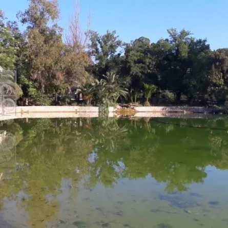 وفاة تمساح في حديقة الحيوانات بتونس يثير ضجّة.. لماذا؟