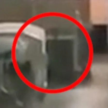 بالفيديو.. شبح طفل متوفي يثير الذعر داخل مستشفى