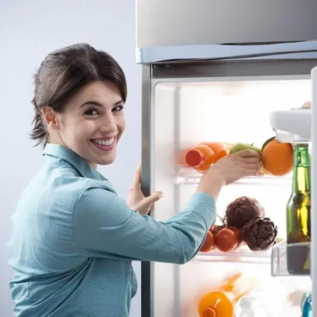 تناول الطعام من المنزل يكافح البدانة