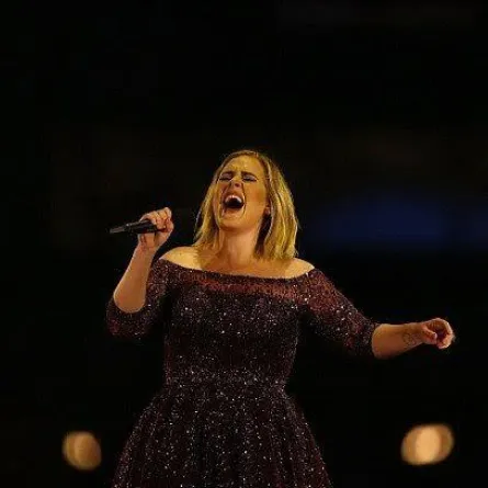 بالفيديو: أديل تتعرض لهجوم على المسرح