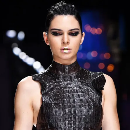 الذهب على الشفاه جديد المكياج العسكري الفاخر