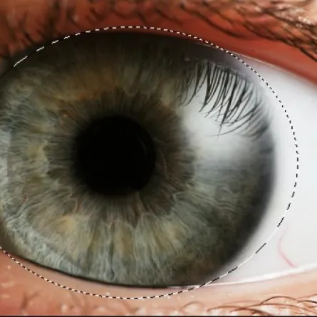 حركة حدقة العين تكشف حالة الإنسان الداخلية