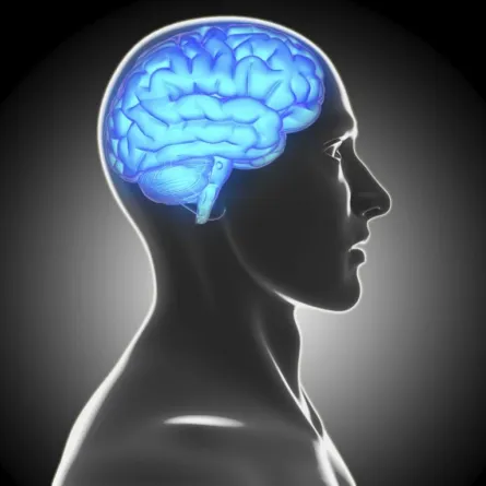 الأطباء يرصدون نشاطاً غامضاً في دماغ إنسان بعد موته