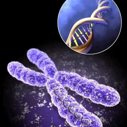 انطلاق ورشة الجمعية السعودية للطب الوراثي في الجوف